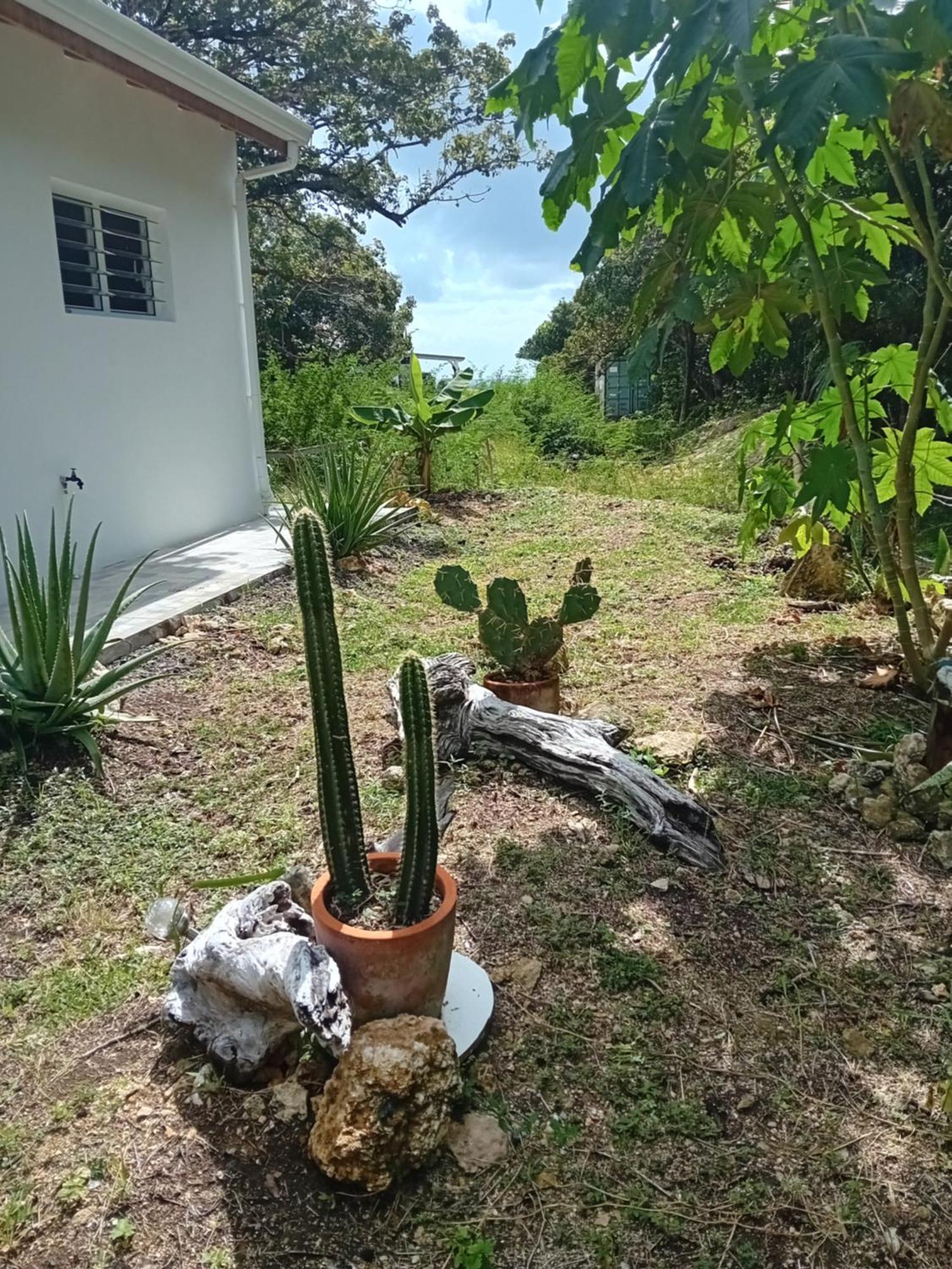 Kazacactus-Villa 3 Chambres Piscine Marie-Galante Beauséjour Exterior photo